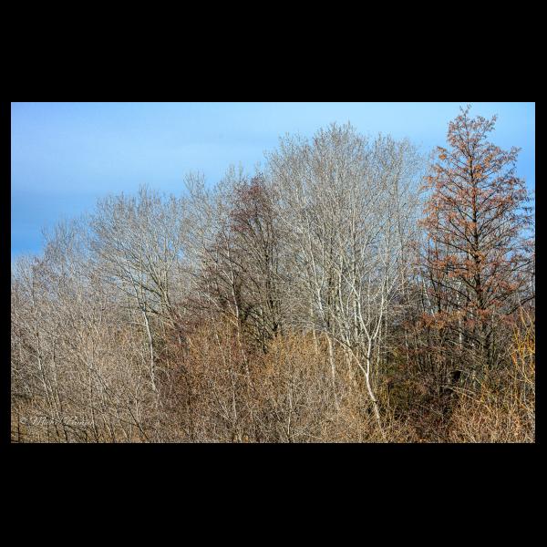 PHOTO84, CLUB, 84 , LUBERON